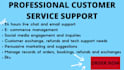 provide customer service support as your virtual assistant