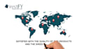 create a professional online shop for your business