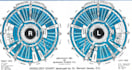 do your iridology reading