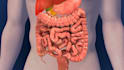 do professional 3d medical animations