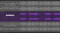 isolate vocals or instrumentals from any song