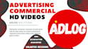 offer professional corporate level promo video services