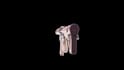 create high quality 3d models and animations
