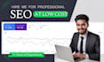perform a detailed SEO audit with strategy plan