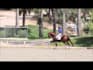 create your equestrian show music
