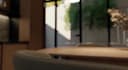 create a cinematic architectural animation in lumion 2025 or d5 render