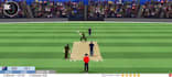 develop an engaging cricket game for PC, mobile, and web