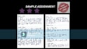 write hand written assignment for university student