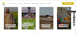 make premium luxury  advance stunning wordpress website design using elementor