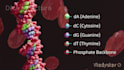 create medical or educational 3d animation
