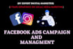 do facebook ads campaign setup and ads management