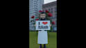 do 3d animation in maya , blender , 3d asset and 3d rigging