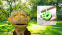 create a custom commercial with professor puppet