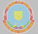 design embroidery patch for you using wilcom