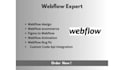 design, redesign, or develop webflow website, webflow expert