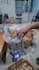 be your product sourcing agent and b2b wholesale exporter in indonesia