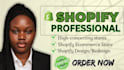 shopify website development,shopify website design,shopify redesign,online store