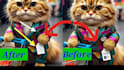 ad or remove text objects logo from your photo and video