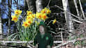 be your magical Leprechaun on video