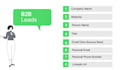 do 200 b2b leads within 8 hours