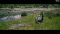 provide youtube video editing within a 24 hour turnaround