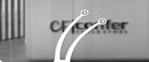 do logo designing and animation