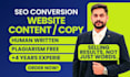 be your best seo website copywriter for website copy or website content
