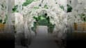 create stunning wedding photo slideshows