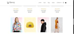 create responsive and professional looking websites