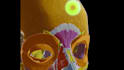3d medical animation ,3d character animation and 3d product animation