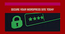 a wordpress website security audit