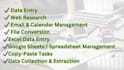 be your virtual assistant for data entry and web research