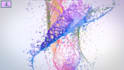 create color paints mixing and splashing logo animation