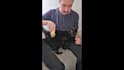 create pet ugc video ads for tiktok, instagram or facebook
