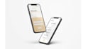 create a mobile app or website UI UX design in xd or figma