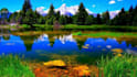 create a stunning  slideshow video