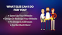install SSL, design wordpress website and custom website