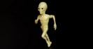 model high quality 3d characters for game devs using blender