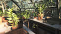 do cgi greenhouse design, farm house, tree house, tiny house with 3d rendering